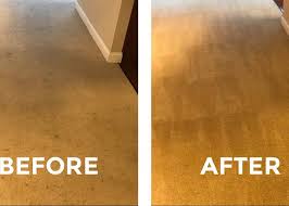 professional carpet cleaning rhode