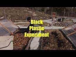 Black Plastic Help To Heat The Soil