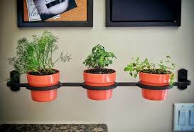 Free Indoor Outdoor Home Herb