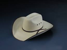 palm leaf cowboy hat