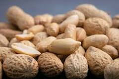 How do you know if peanuts have gone bad?