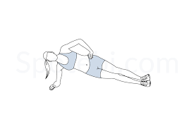 Side Plank Illustrated Exercise Guide