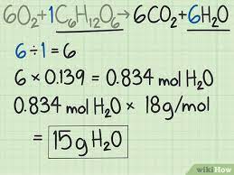 How To Calculate Theoretical Yield 12