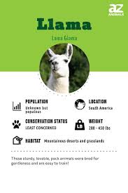 llama facts lama glama a z
