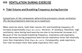 ventilation during exercise flashcards