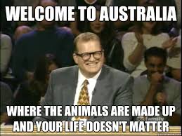 Welcome to australia Where the animals are made up and your life ... via Relatably.com