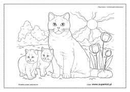 Kotek w pucharze dla dorosłych antystresowy farbowanie strona. Kolorowanki Koty Rasy Kotow Superkid