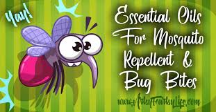 mosquito repellent and bug bites