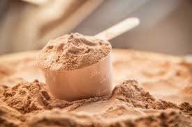 12 best protein powders for weight loss