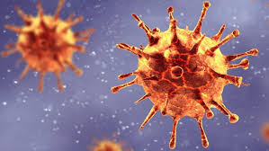 Tanda virus corona berupa demam, lemas, batuk, flu, sesak napas dan memiliki riwayat berkunjung ke negara terjangkit dalam 14 hari sebelumnya. Gejala Covid 19 Kelelahan Seperti Ini Jadi Tanda Awal Terinfeksi Corona