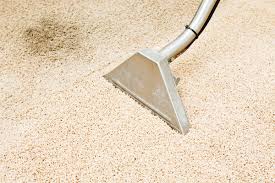 professional carpet cleaning vs