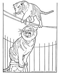 One such clown was the popular american dan rice, who was known for an act. Circus Animal Coloring Pages Printable Performing Circus Tiger Coloring Page And Kids A Zoo Animal Coloring Pages Circus Coloring Pages Animal Coloring Pages