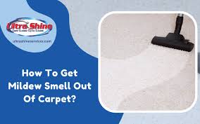 ways to remove mildew smell out of carpet