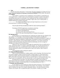    Biographical Essay Rubric Artistry of Education   blogger