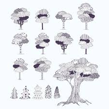 tree drawing vectors ilrations