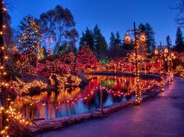 Its The Most Wonderful Time Of The Year At Vandusen