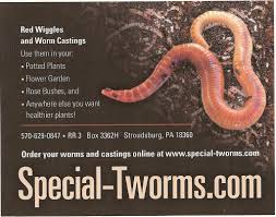 From the two worms, red wigglers are known for their high reproduction rate, making it a better option if you are breeding for composting, even for fishing bait. Special Tworms Localharvest