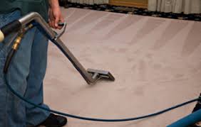 carpet cleaning gainesville fl