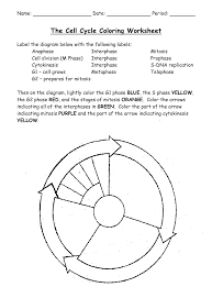 Free printable coloring pages for print and color, coloring page to print , free printable coloring book pages for kid, printable coloring worksheet. The Cell Cycle Coloring Worksheet Bio 104 Foundations In Biology Ii Matthew Hamilton Georgetown University Download Printable Pdf Templateroller