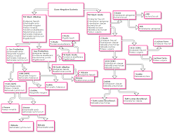 Organized Microbiology Gram Stain Flow Chart Unknown
