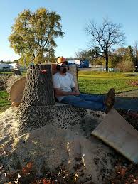We offer tree removal, tree trimming, stump grinding, and crane service. Request A Quote For Tree Services In Kalamazoo Seaben Tree Service