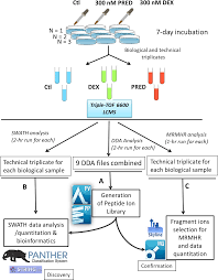 Figure 1 From New Insight Of Common Regulatory Pathways In