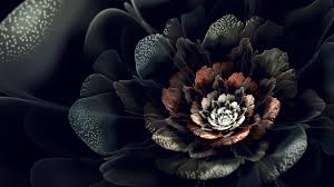 We determined that these pictures can also depict a black. Black Floral Phone Wallpaper