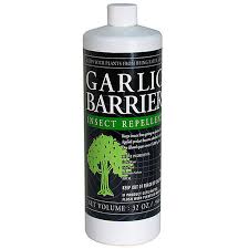 garlic barrier organic insect repellent