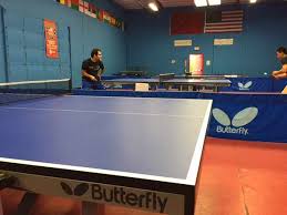 Table Tennis And Ping Pong Leagues