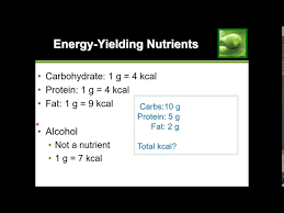 easy guide how to calculate calories