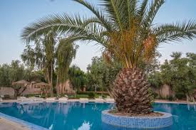 des oliviers guest house marrakesh morocco