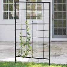Metal Garden Trellis Keep Vine Plants