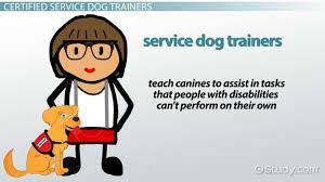 Maybe you would like to learn more about one of these? Certified Service Dog Trainer Certification Career Roadmap