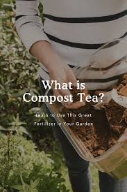 what is compost tea fresh exchange