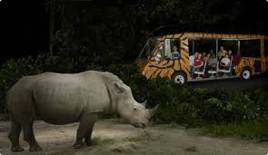 But it is also dedicated to conservation, rescue, and research to help improve the lives of animals both in captivity and in the wild. Night Safari Admission And Tram Ride Singapore City Pass