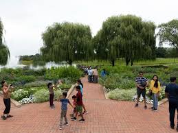 chicago botanic garden to begin