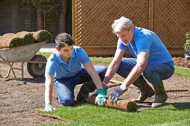 Tools Needed For Landscaping Business
