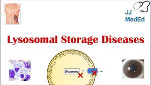 lysosomal storage diseases overview