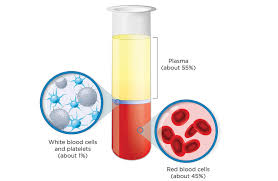 exploring blood plasma a vital fluid