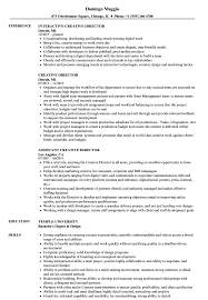 Vp Creative Director Resume Sample Template Profile Manager
