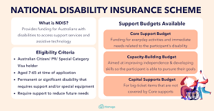 Ndis Budgets Explained Here S