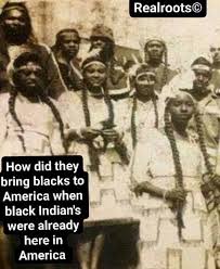 The Black Native Americans | American history facts, Black history education, Native american history