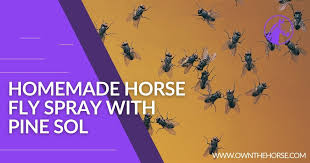homemade horse fly spray with pine sol