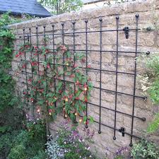 metal garden trellis harrod horticultural