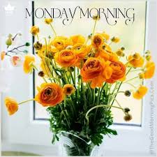 Check spelling or type a new query. 60 Beautiful Good Morning Flowers Images For Whatsapp