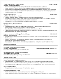 Well Designed Resume Examples For Your Inspiration word and indesign  consulting resume template