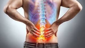 Intermediate back muscles and nerve supply: Which Exercise Regimen Works Best To Ease Lower Back Pain Consumer Health News Healthday