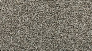 calming path fossil gray frieze carpet