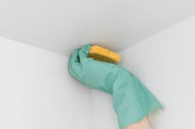 how to remove mold on bathroom ceilings