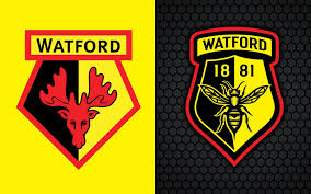 (watford re) is a global specialty insurer and reinsurer headquartered in bermuda. Watford Fc Has Changed Its Mind About The Rebranding